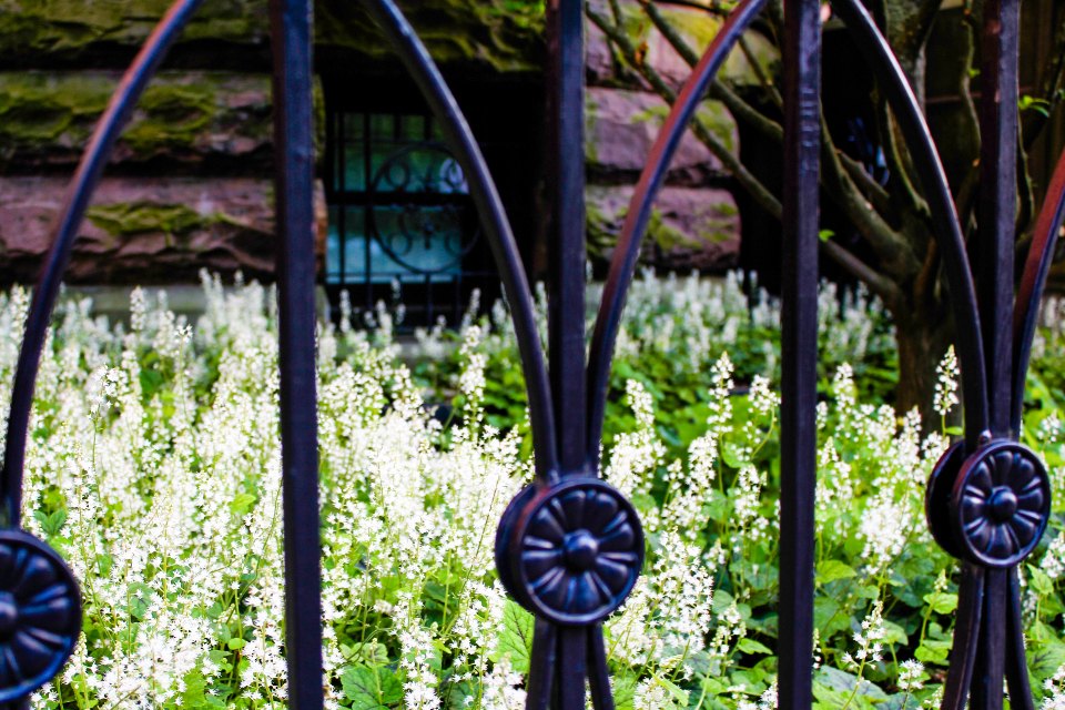 Metal Fence
